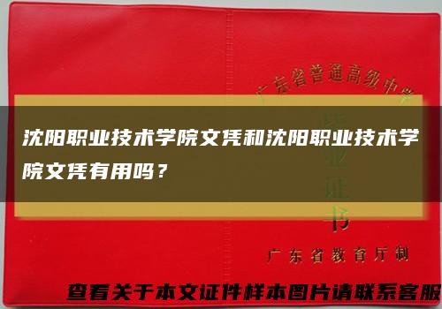 沈陽職業技術學院文憑和沈陽職業技術學院文憑有用嗎？縮略圖