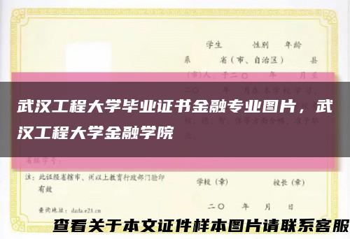 武漢工程大學畢業證書金融專業圖片，武漢工程大學金融學院縮略圖