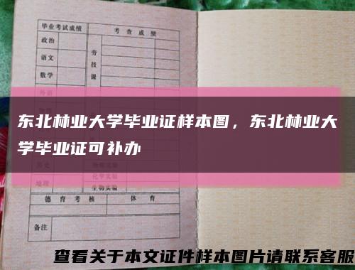 東北林業大學畢業證樣本圖，東北林業大學畢業證可補辦縮略圖