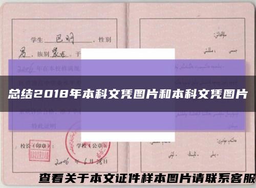 總結2018年本科文憑圖片和本科文憑圖片縮略圖