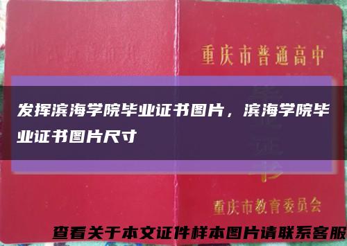 發揮濱海學院畢業證書圖片，濱海學院畢業證書圖片尺寸縮略圖