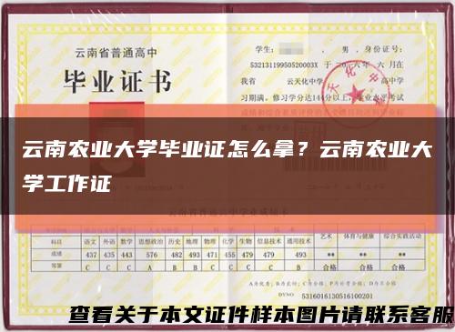 云南農業大學畢業證怎么拿？云南農業大學工作證縮略圖
