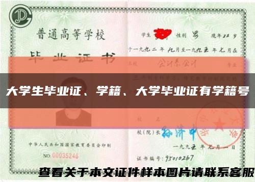 大學生畢業證、學籍、大學畢業證有學籍號縮略圖