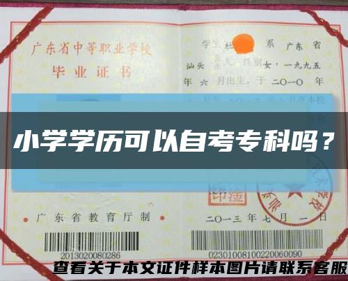 小學學歷可以自考?？茊?？縮略圖