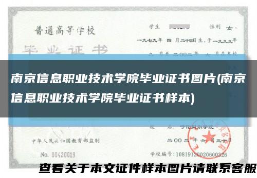 南京信息職業技術學院畢業證書圖片(南京信息職業技術學院畢業證書樣本)縮略圖