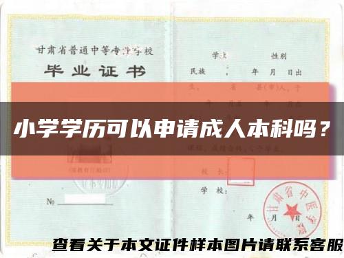 小學學歷可以申請成人本科嗎？縮略圖