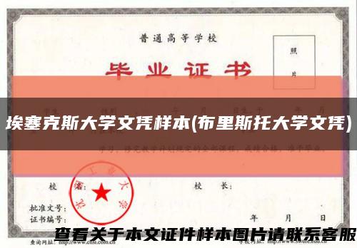 埃塞克斯大學文憑樣本(布里斯托大學文憑)縮略圖