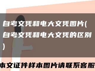 自考文憑和電大文憑圖片(自考文憑和電大文憑的區別)縮略圖