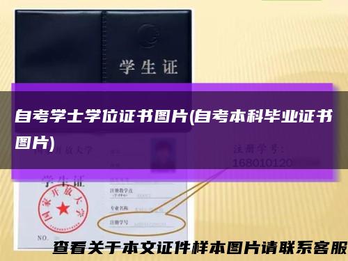 自考學士學位證書圖片(自考本科畢業證書圖片)縮略圖