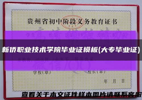 新僑職業技術學院畢業證模板(大專畢業證)縮略圖