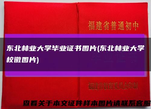 東北林業大學畢業證書圖片(東北林業大學?；請D片)縮略圖