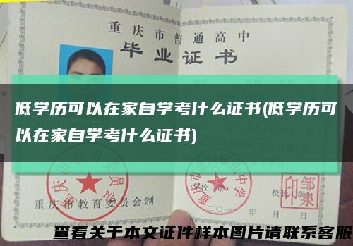 低學歷可以在家自學考什么證書(低學歷可以在家自學考什么證書)縮略圖