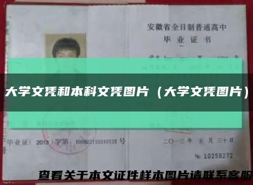 大學文憑和本科文憑圖片（大學文憑圖片）縮略圖