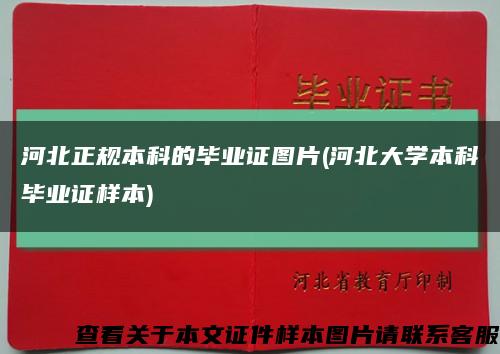 河北正規本科的畢業證圖片(河北大學本科畢業證樣本)縮略圖