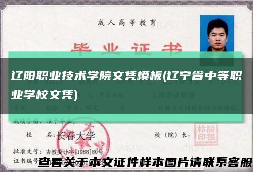 遼陽職業技術學院文憑模板(遼寧省中等職業學校文憑)縮略圖