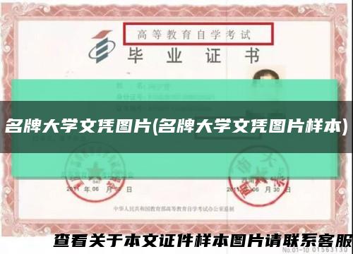 名牌大學文憑圖片(名牌大學文憑圖片樣本)縮略圖
