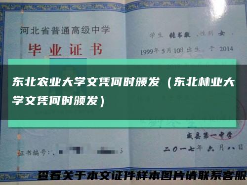 東北農業大學文憑何時頒發（東北林業大學文憑何時頒發）縮略圖