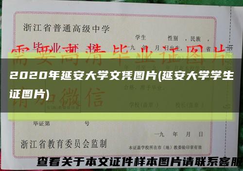 2020年延安大學文憑圖片(延安大學學生證圖片)縮略圖