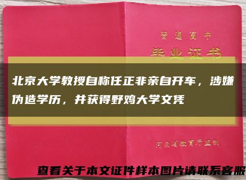 北京大學教授自稱任正非親自開車，涉嫌偽造學歷，并獲得野雞大學文憑縮略圖