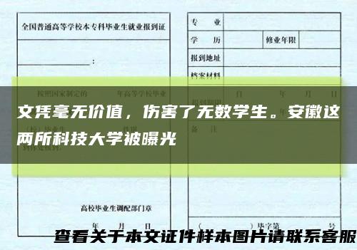 文憑毫無價值，傷害了無數學生。安徽這兩所科技大學被曝光縮略圖