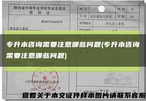 專升本咨詢需要注意哪些問題(專升本咨詢需要注意哪些問題)縮略圖