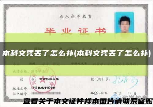本科文憑丟了怎么補(本科文憑丟了怎么補)縮略圖