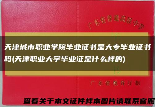 天津城市職業學院畢業證書是大專畢業證書嗎(天津職業大學畢業證是什么樣的)縮略圖