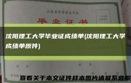 沈陽理工大學畢業證成績單(沈陽理工大學成績單原件)縮略圖