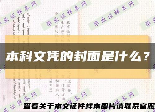 本科文憑的封面是什么？縮略圖