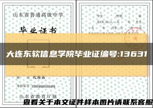 大連東軟信息學院畢業證編號:13631縮略圖