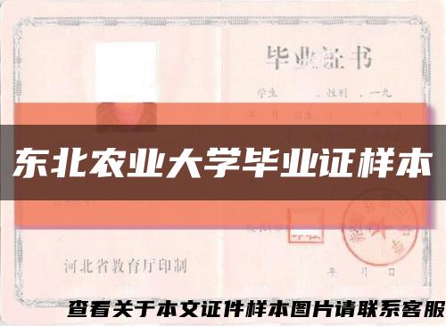 東北農業大學畢業證樣本縮略圖