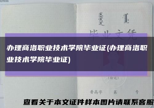 辦理商洛職業技術學院畢業證(辦理商洛職業技術學院畢業證)縮略圖
