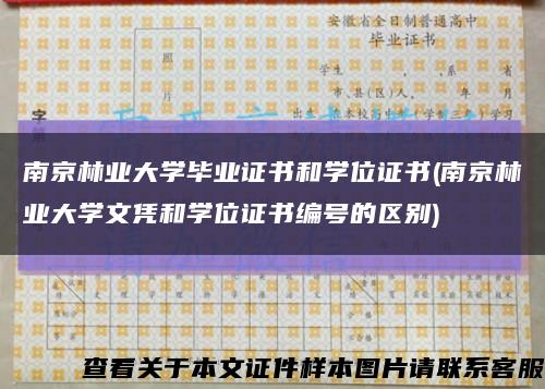 南京林業大學畢業證書和學位證書(南京林業大學文憑和學位證書編號的區別)縮略圖