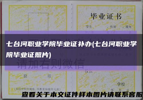 七臺河職業學院畢業證補辦(七臺河職業學院畢業證照片)縮略圖