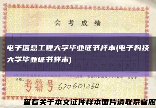 電子信息工程大學畢業證書樣本(電子科技大學畢業證書樣本)縮略圖