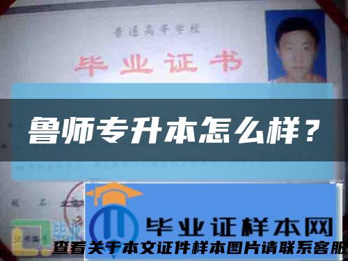 魯師專升本怎么樣？縮略圖