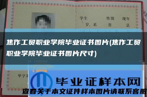 焦作工貿職業學院畢業證書圖片(焦作工貿職業學院畢業證書圖片尺寸)縮略圖