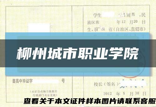 柳州城市職業學院縮略圖