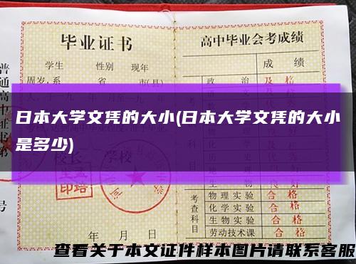 日本大學文憑的大小(日本大學文憑的大小是多少)縮略圖