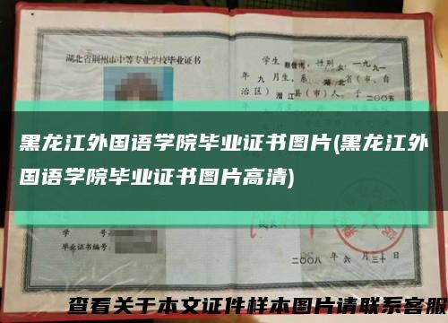黑龍江外國語學院畢業證書圖片(黑龍江外國語學院畢業證書圖片高清)縮略圖