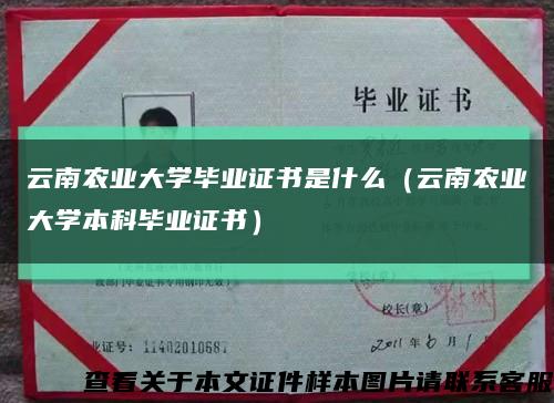 云南農業大學畢業證書是什么（云南農業大學本科畢業證書）縮略圖