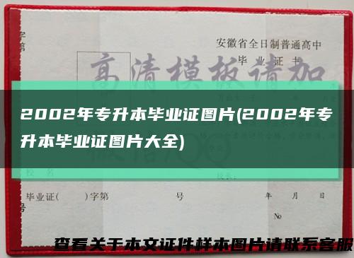 2002年專升本畢業證圖片(2002年專升本畢業證圖片大全)縮略圖