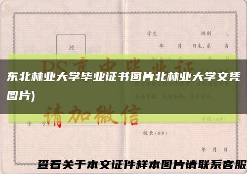 東北林業大學畢業證書圖片北林業大學文憑圖片)縮略圖