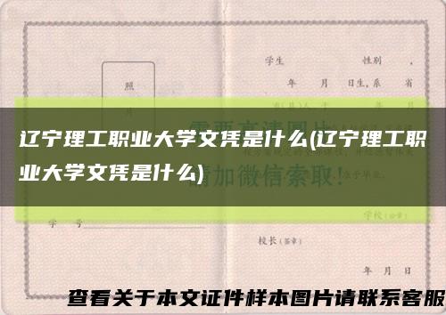 遼寧理工職業大學文憑是什么(遼寧理工職業大學文憑是什么)縮略圖