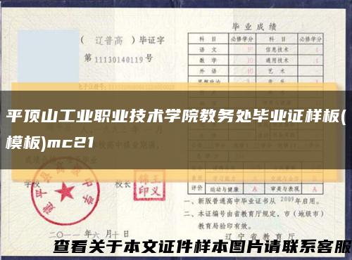 平頂山工業職業技術學院教務處畢業證樣板(模板)mc21縮略圖