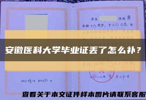 安徽醫科大學畢業證丟了怎么補？縮略圖