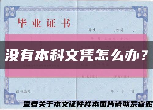 沒有本科文憑怎么辦？縮略圖