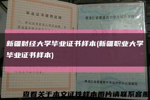 新疆財經大學畢業證書樣本(新疆職業大學畢業證書樣本)縮略圖