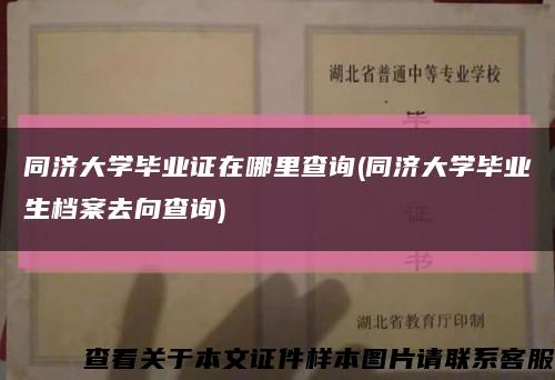 同濟大學畢業證在哪里查詢(同濟大學畢業生檔案去向查詢)縮略圖