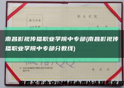 南昌影視傳播職業學院中專部(南昌影視傳播職業學院中專部分數線)縮略圖